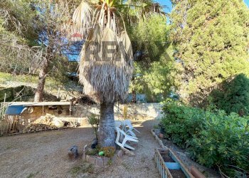 Giardino - Semi-detached house Capoliveri - photo 9