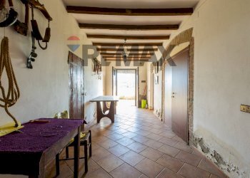 Hall / corridoio - Rustic StradA Del Lino
 
3, Polesine Zibello - photo 5