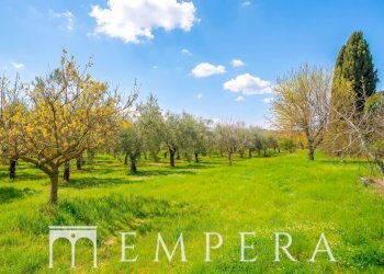 Foto 16 - Villa Via dei Lilla, Montepulciano - foto 16
