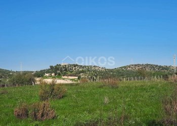Foto 12 - Terreno agricolo c.da Saccollino
snc, Noto - foto 12