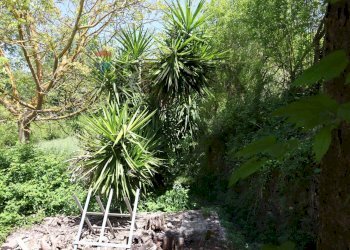 Giardino - Rustic strada comunale dei mulini, Monterosso Almo - photo 12