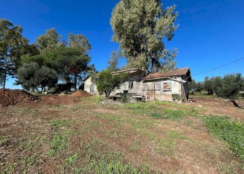 Casa all\'aperto - Rustic Via Di Carano
 
63, Velletri - photo 1