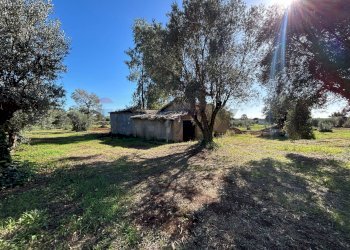 Giardino - Rustic Via Di Carano
 
63, Velletri - photo 5