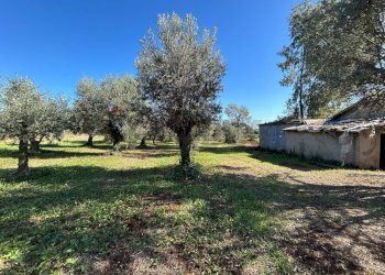 Giardino - Rustic Via Di Carano
 
63, Velletri - photo 8