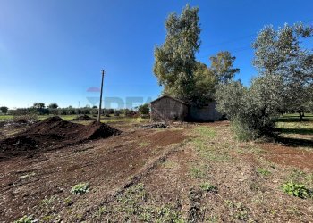 Giardino - Rustic Via Di Carano
 
63, Velletri - photo 10
