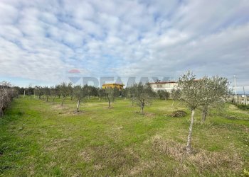 Giardino - Building land VIA VALGROSINA
 
13, Aprilia - photo 6