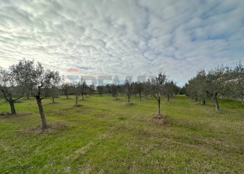 Giardino - Building land VIA VALGROSINA
 
13, Aprilia - photo 7