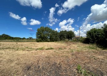 Giardino - Terreno agricolo Aprilia - foto 5