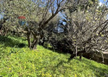Giardino - Villa via crafamo
 
40, Carini - foto 4