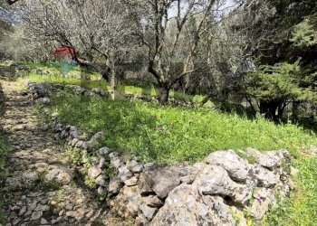 Giardino - Villa via crafamo
 
40, Carini - foto 6