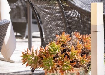 Dettagli - Hotel Via Circonvallazione, Favignana - foto 15
