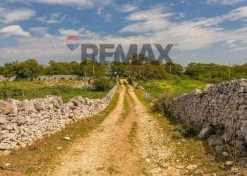 Giardino - Rustic Strada Ermellino, Martina Franca - photo 4