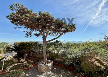 Giardino - Appartamento Napoli - foto 5