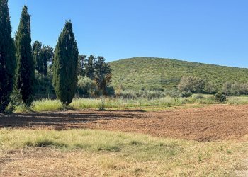 Foto 119 - Villa via Ozieri
 
34, Alghero - photo 119