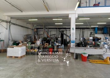 Foto 8 - Warehouse via Libeccio
100, Viareggio - photo 8
