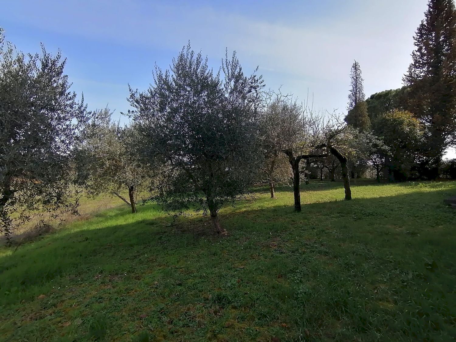 giardino - Casa semi indipendente Strada statale 317, Marsciano - foto 2