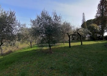 giardino - Casa semi indipendente Strada statale 317, Marsciano - foto 2