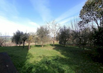 giardino - Casa semi indipendente Strada statale 317, Marsciano - foto 4