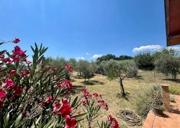 giardino - Villa via della Pace
 
3, Marsciano - foto 9