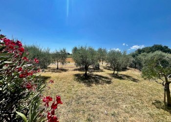 giardino - Villa via della Pace
 
3, Marsciano - foto 11