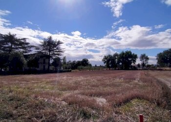 Foto 4 - Building land Marsciano - photo 4
