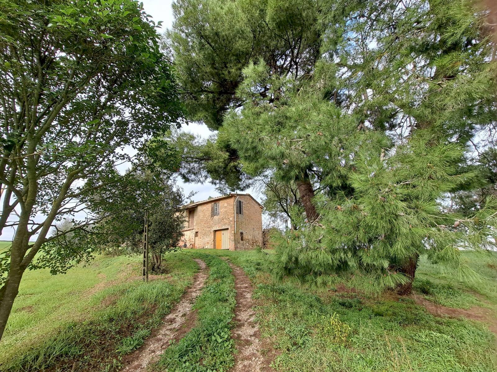 Foto 1 - Rustico Marsciano - foto 1