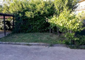 Foto 5 - Independent house Marsciano - photo 5
