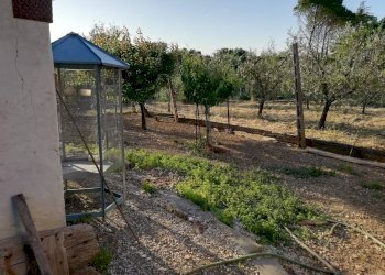 Foto 7 - Independent house Marsciano - photo 7