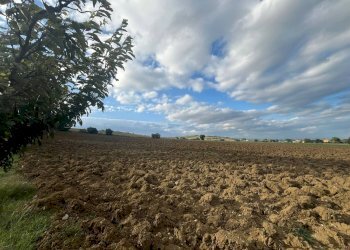 Foto 49 - Rustic Marsciano - photo 49
