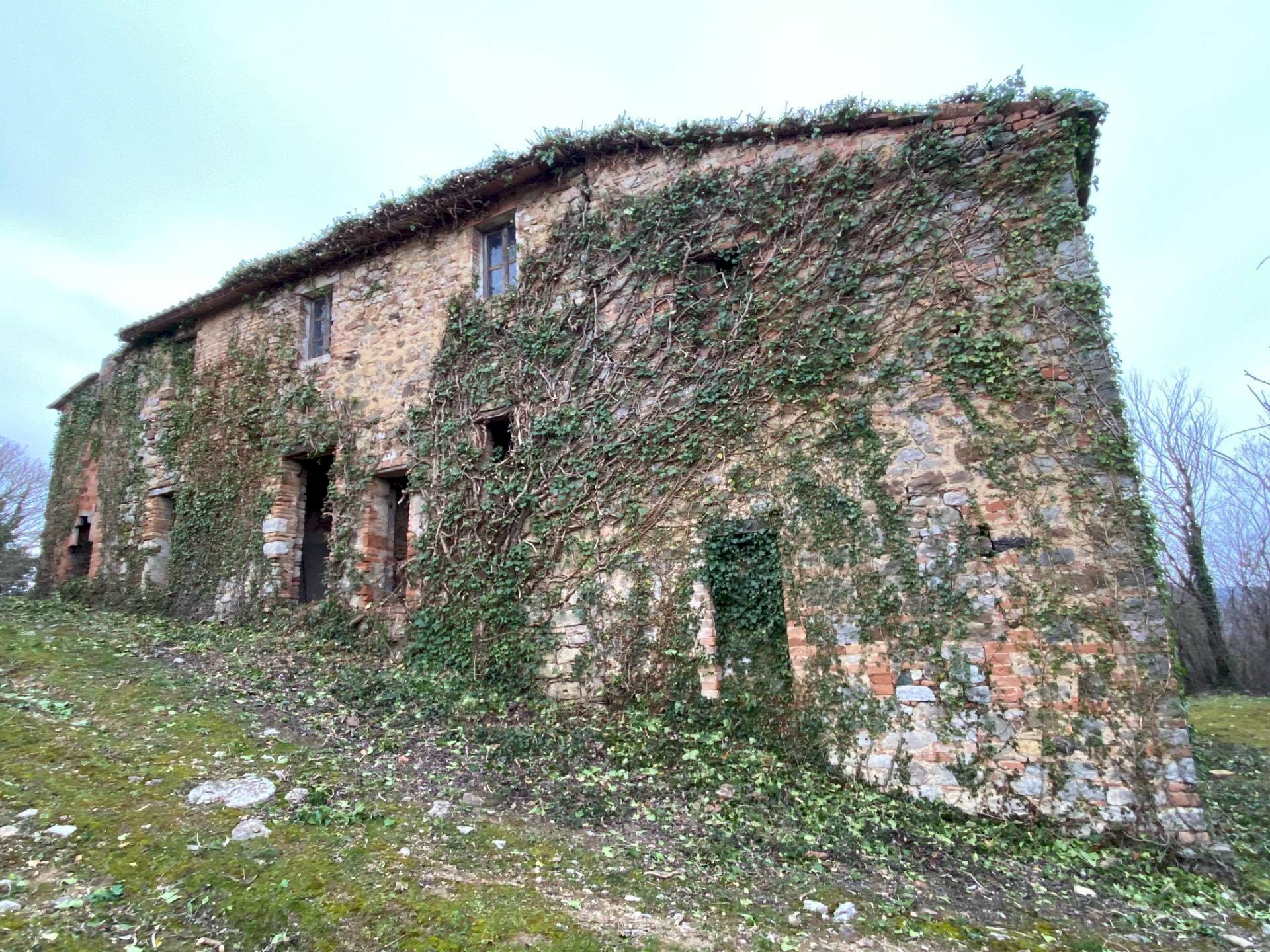 Foto 3 - Rustic San Venanzo - photo 3