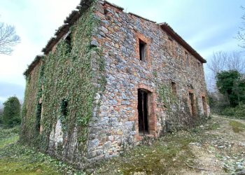 Foto 2 - Rustico San Venanzo - foto 2