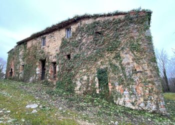 Foto 3 - Rustico San Venanzo - foto 3
