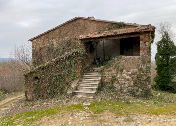 Foto 4 - Rustico San Venanzo - foto 4