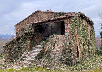 Foto 5 - Rustico San Venanzo - foto 5