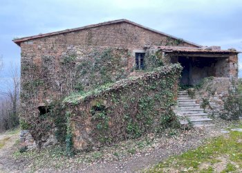 Foto 6 - Rustico San Venanzo - foto 6