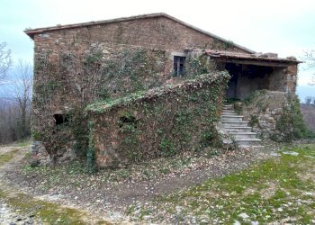 Foto 7 - Rustico San Venanzo - foto 7
