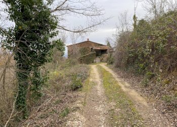 Foto 9 - Rustico San Venanzo - foto 9