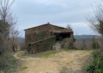 Foto 10 - Rustico San Venanzo - foto 10