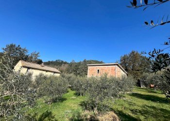 Foto 9 - Terreno agricolo Via Tevere
40, Collazzone - foto 9