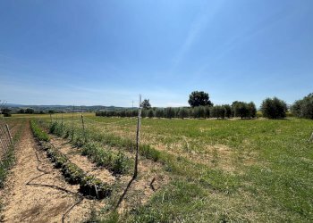 Foto 6 - Semi-detached house Fratta Todina - photo 6