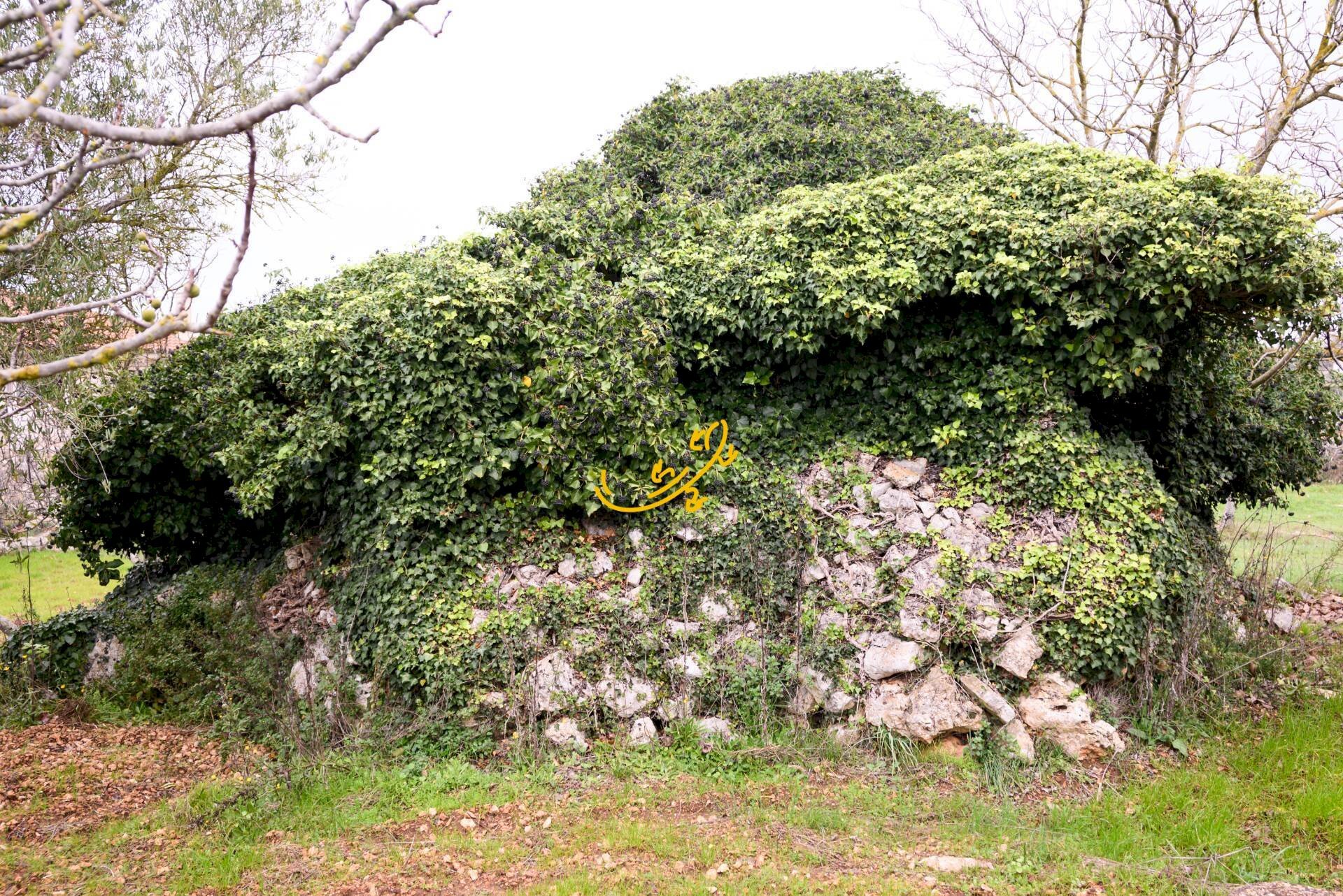 Foto 1 - Baita C. da Santa Maria del Soccorso, Noci - foto 1