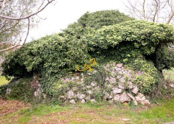Foto 1 - Baita C. da Santa Maria del Soccorso, Noci - foto 1