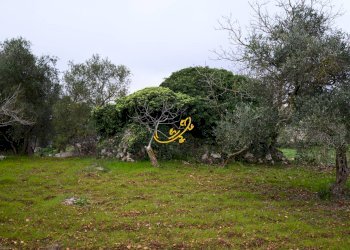 Foto 3 - Baita C. da Santa Maria del Soccorso, Noci - foto 3
