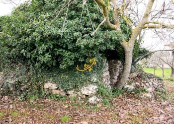 Foto 4 - Baita C. da Santa Maria del Soccorso, Noci - foto 4