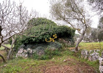 Foto 11 - Baita C. da Santa Maria del Soccorso, Noci - foto 11