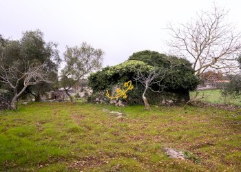 Foto 12 - Baita C. da Santa Maria del Soccorso, Noci - foto 12