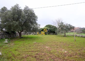 Foto 13 - Baita C. da Santa Maria del Soccorso, Noci - foto 13