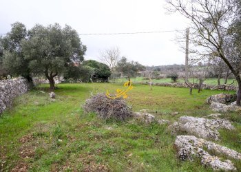 Foto 14 - Baita C. da Santa Maria del Soccorso, Noci - foto 14