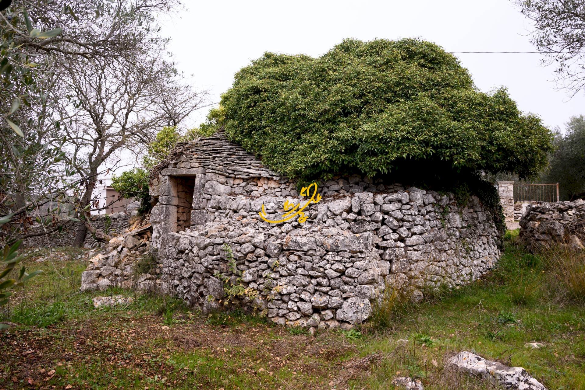 Foto 1 - Baita Contrada Montedoro, Noci - foto 1