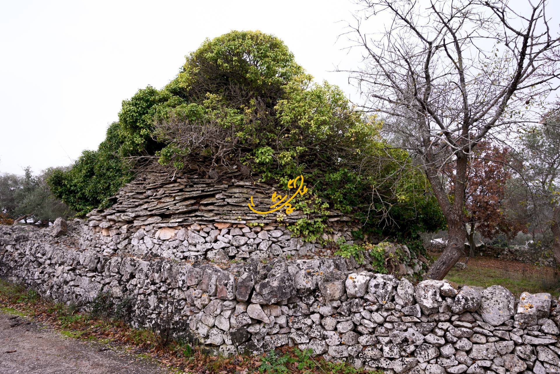 Foto 3 - Baita Contrada Montedoro, Noci - foto 3